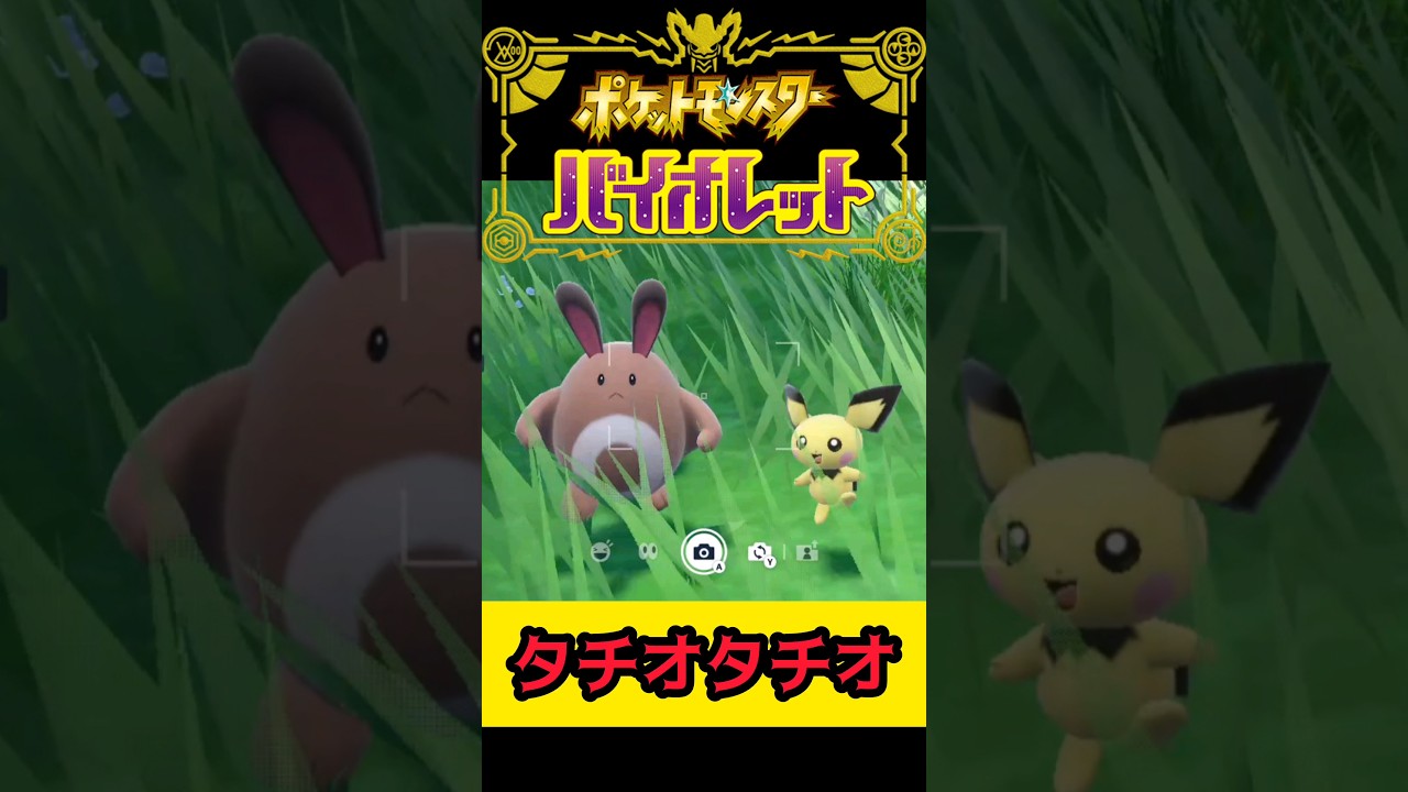 オタチかわいい【ポケモンSV ポケモンスカーレット/バイオレット】 #shorts #pokemonscarlet  #pokemonviolet