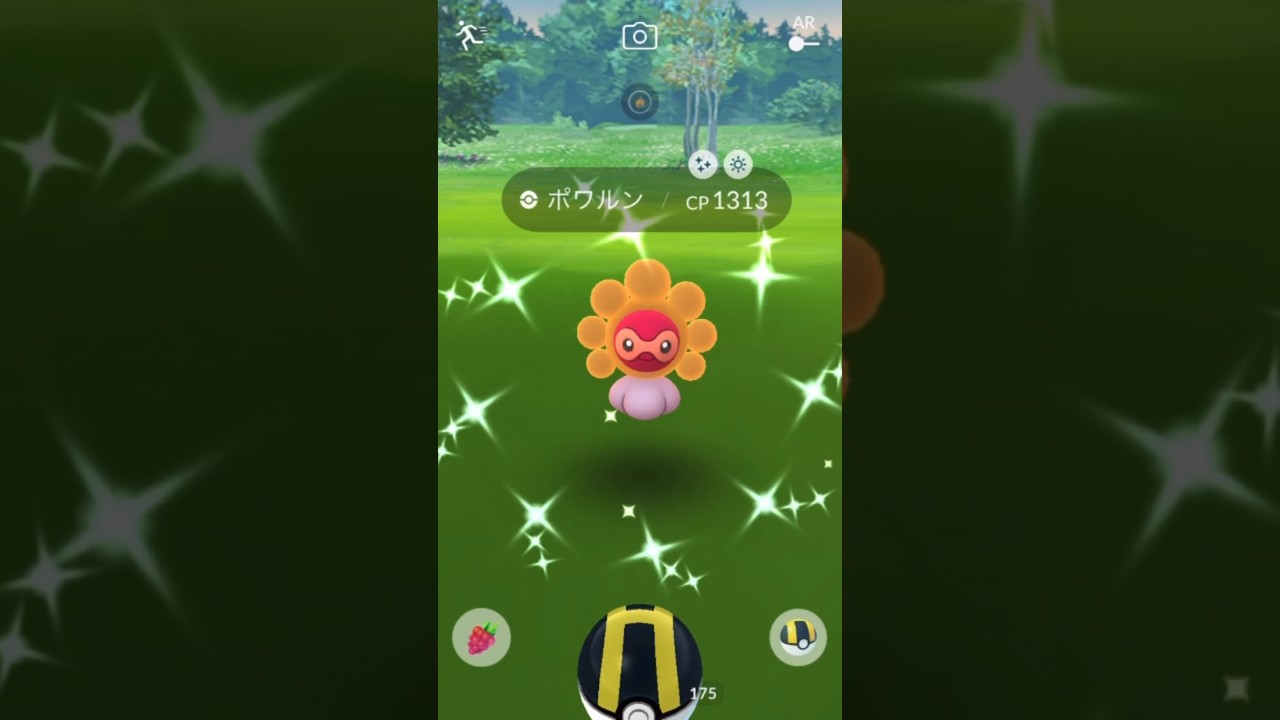 【ポケモンGO】晴れポワルンの色違い降臨！#shorts #pokemongo #ポケモンgo #ポケモンgo色違い