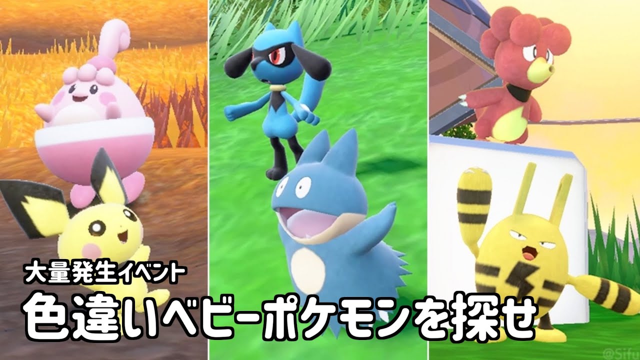 大量発生ベビーポケモン色違いを探す【ポケモンSV】