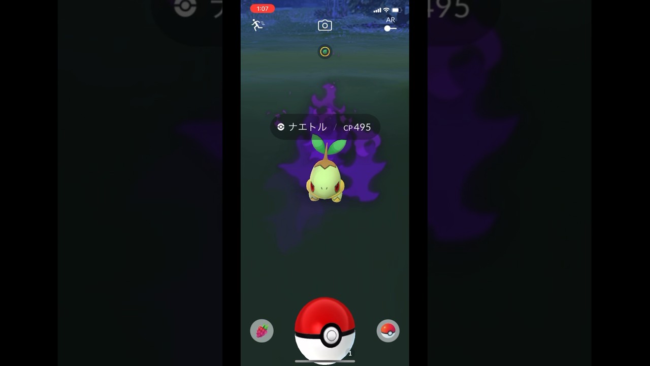 ポケモンGOでシャドウナエトルのゲットチャレンジ！