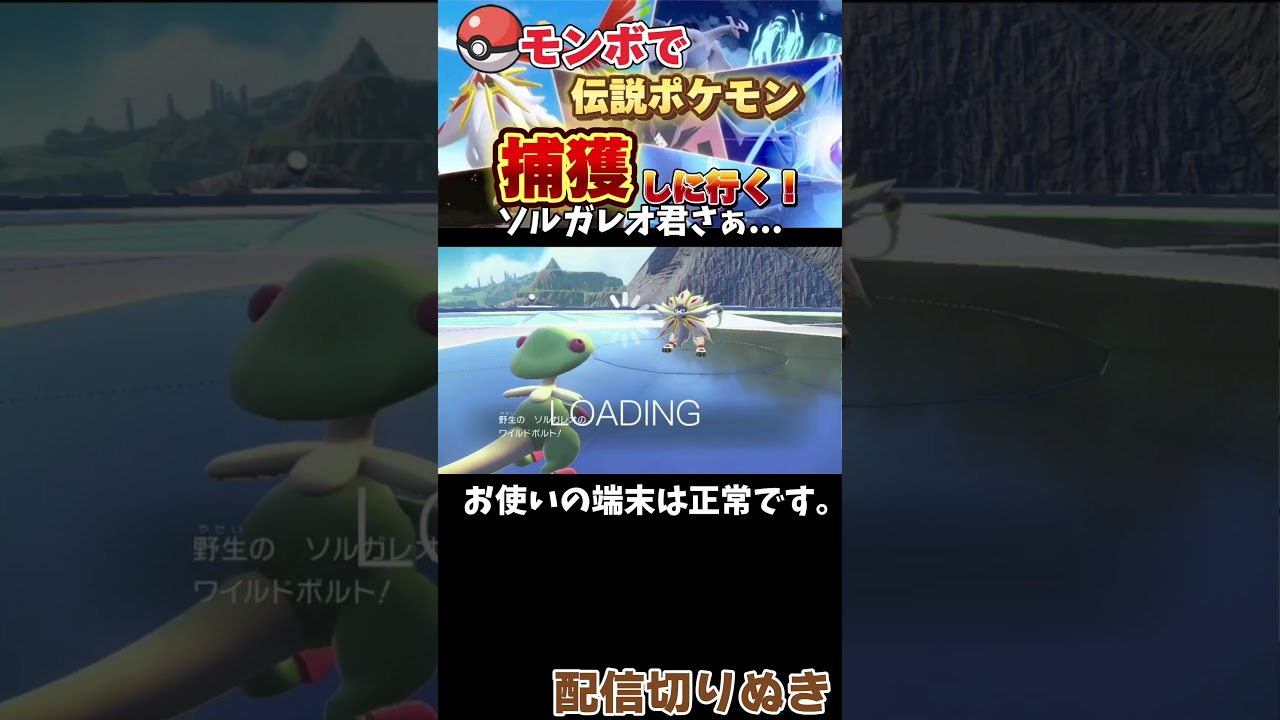 ソルガレオはどうしても捕まりたくないようで… #ポケモンsv #伝説ポケモン #fyp #ソルガレオ
