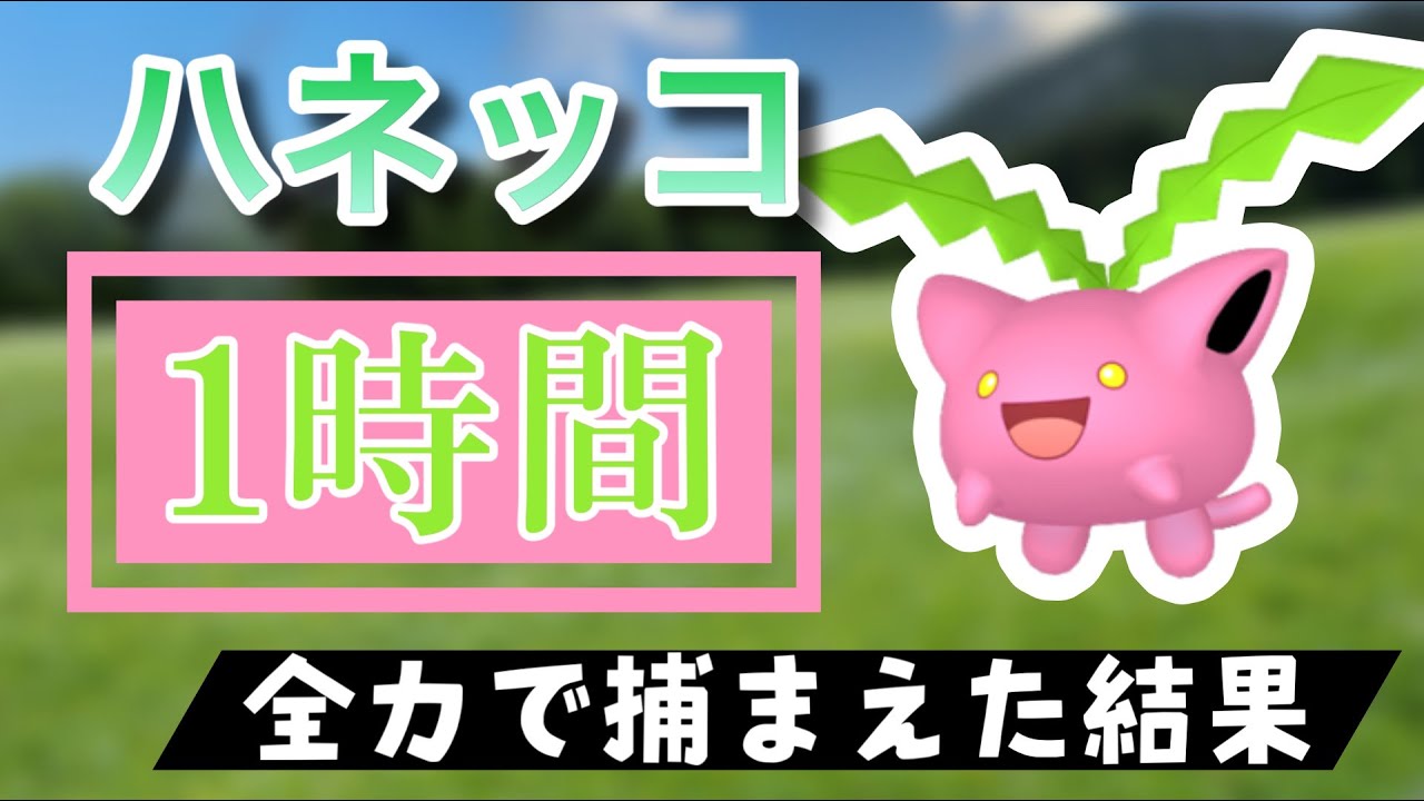 【ポケモンGO】田舎でハネッコのスポットライトアワーをやった結果