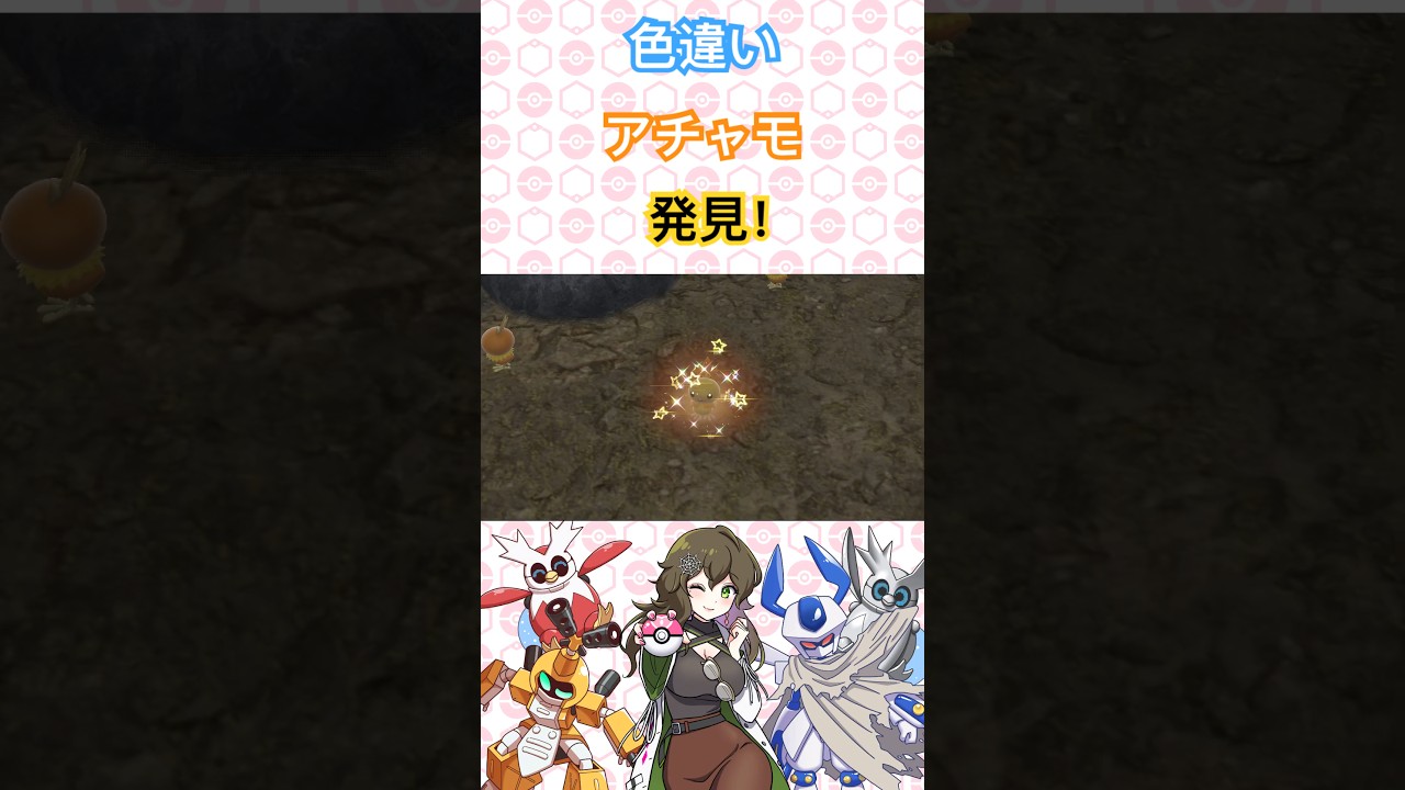 色違いアチャモ発見！【ポケモンSV】 #ポケモン #ポケモンsv #色違い #pokémon #short #shorts