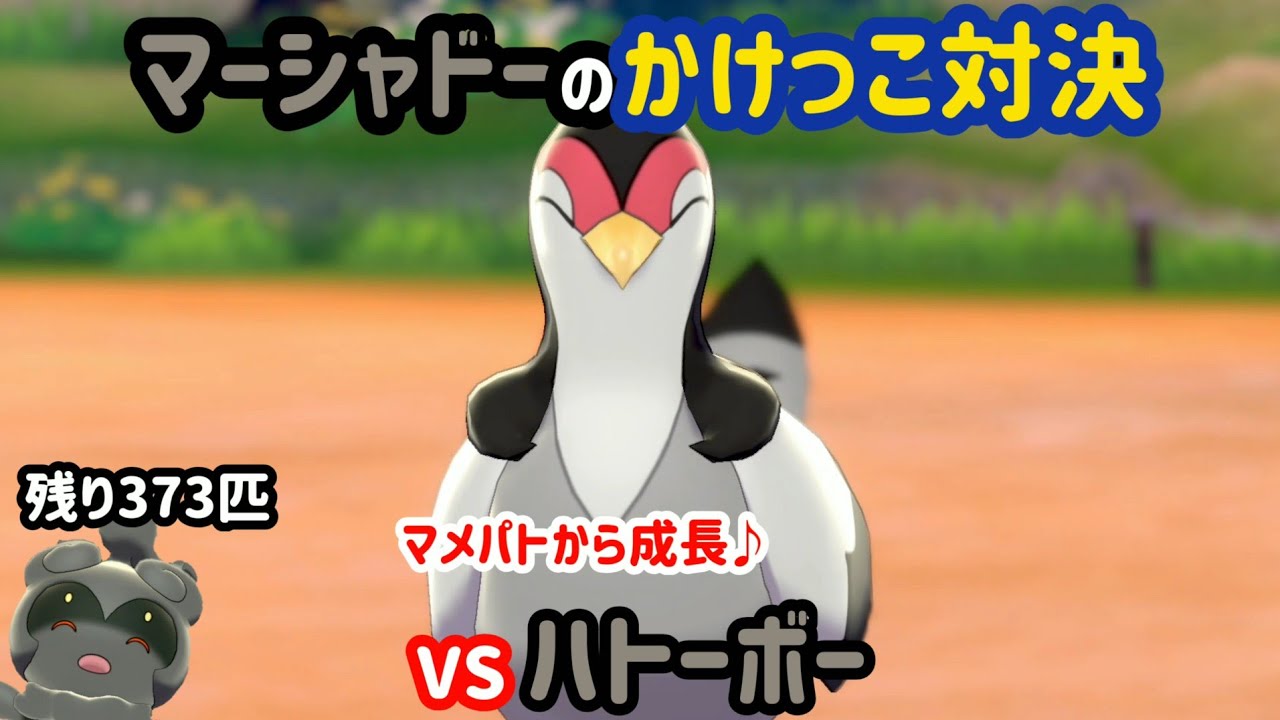 VSハトーボー ガラル図鑑No.27 【マーシャドーのかけっこ対決】