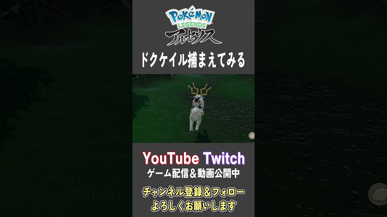 ドクケイル捕まえてみる【Pokemon LEGENDS アルセウス】【#Shorts】【#91】