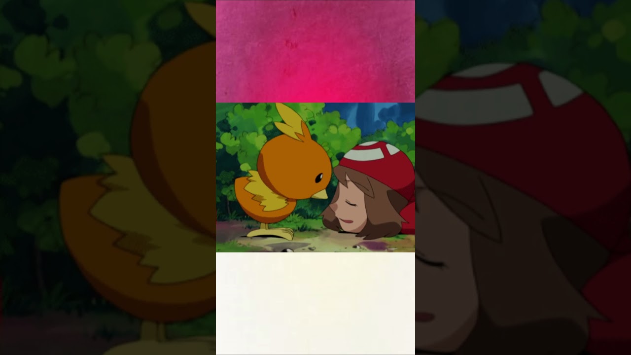 No.255 Torchic  #pokemon #pokemongo