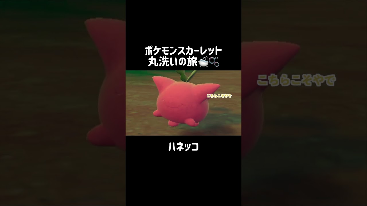 ハネッコの葉っぱを洗ってみると…？‪🌱‬💓 #ポケモンsv #ポケモンスカーレット #ポケモン #pokemon #ハネッコ #hoppip #shorts