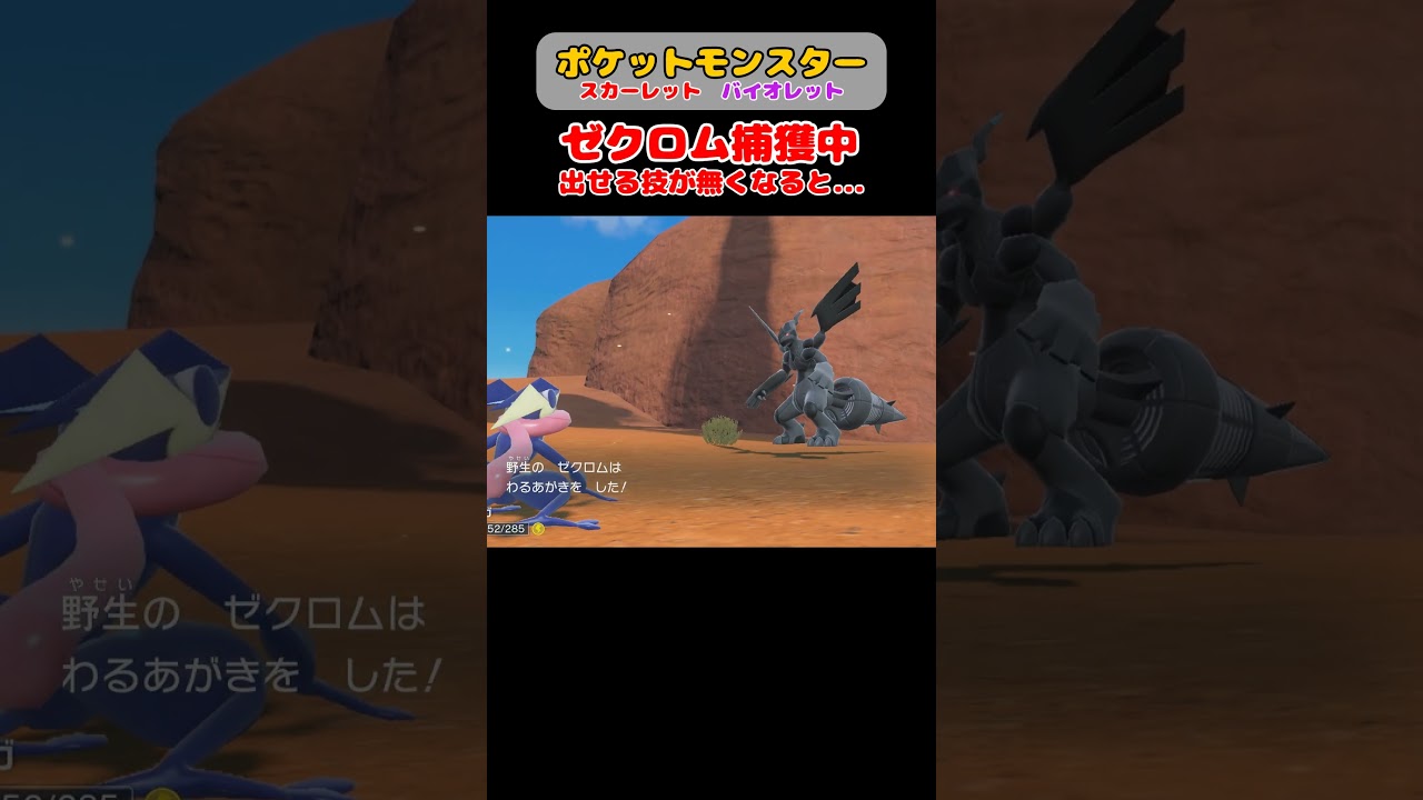 ゼクロム 出せる技が無くなると DLC後半【ポケモンSV】【スカーレットバイオレット】 #ポケットモンスタースカーレットバイオレット  #ポケモンsv #shortvideo