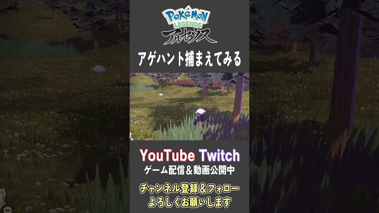 アゲハント捕まえてみる【Pokemon LEGENDS アルセウス】【#Shorts】【#80】