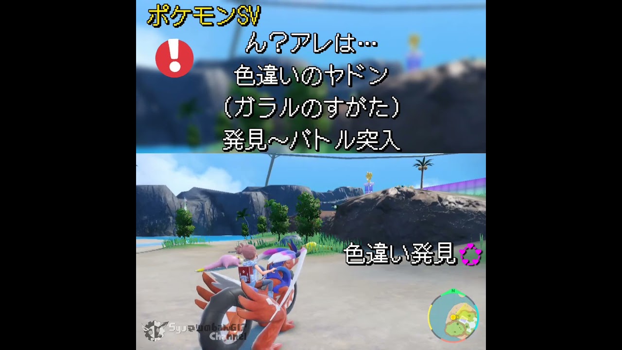 ポケモンSV  ん？アレは…色違いのヤドン（ガラルのすがた）   発見～バトル突入【判別用】 #ポケモンsv #pokemonshinyhunting #ポケモンsv色違い