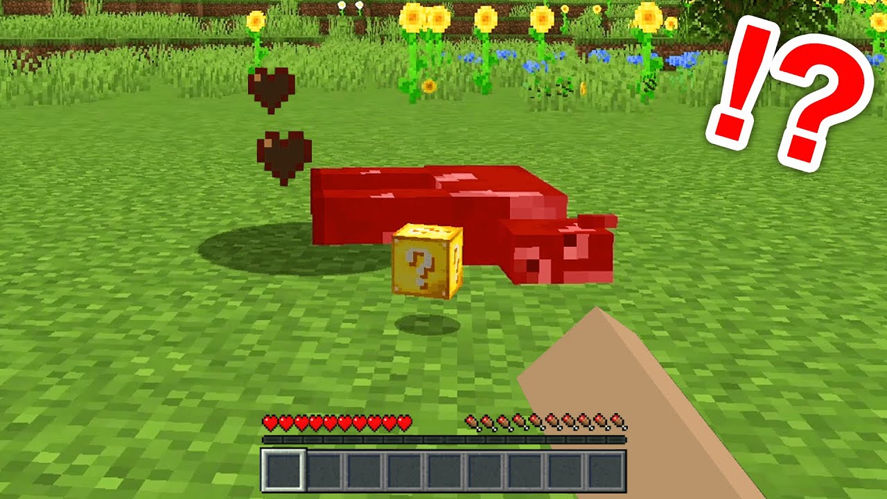 モブを倒すとラッキーブロックが出てくる世界でサバイバルｗ【まいくら・マインクラフト】