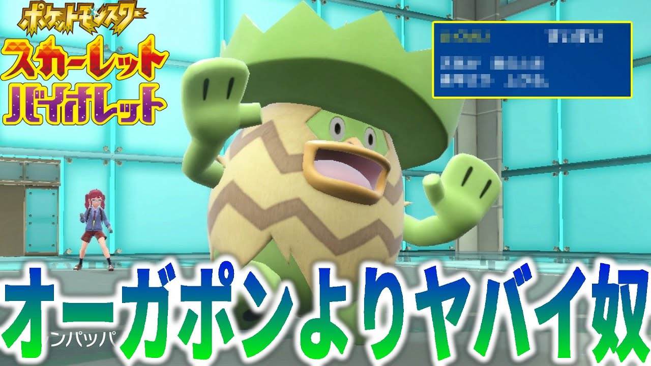 ルンパッパを"オーガポン以上"の火力と素早さにする方法ｗｗｗ【ポケモンSV】