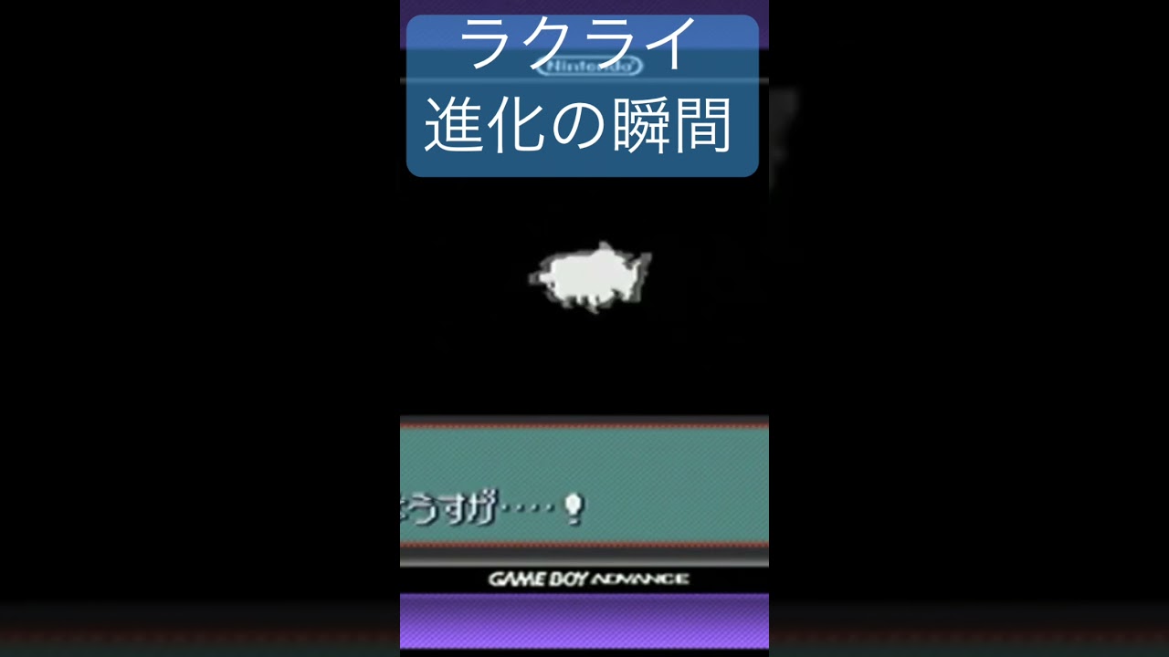 【生配信切り抜き】ラクライ進化 #ポケモン #pokemon #ポケットモンスター #配信 #作業用bgm #公開収録