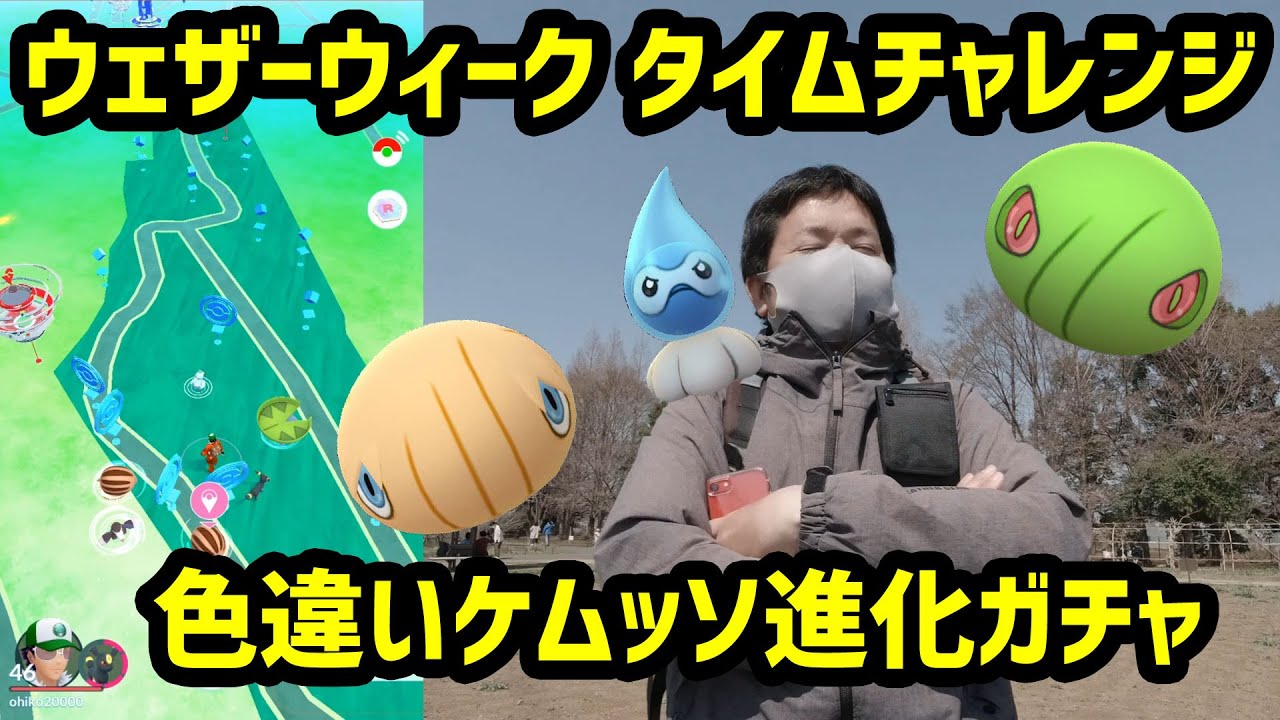 【ポケモンGO】ウェザーウィーク タイムチャレンジと色違いケムッソ進化ガチャ