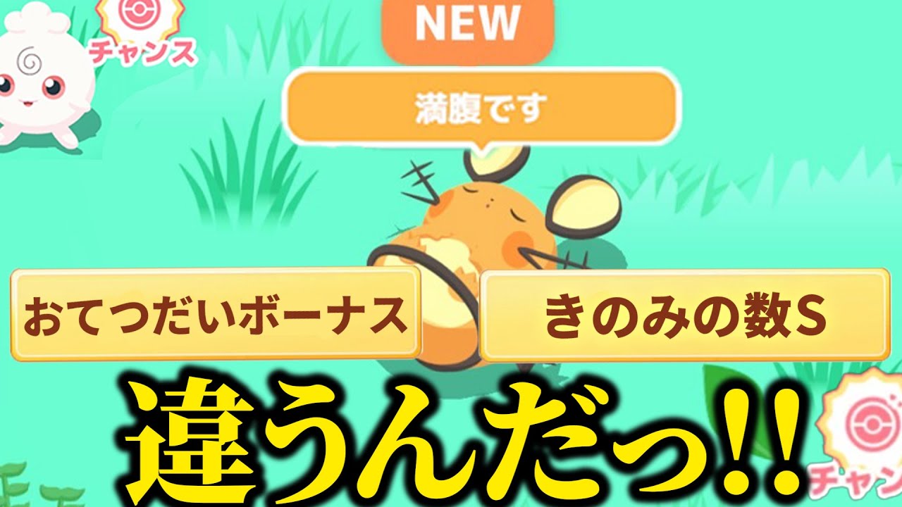 全ての"違う!!"が詰め込まれたデデンネデビュー神個体ではあるが…【ポケモンスリープ】