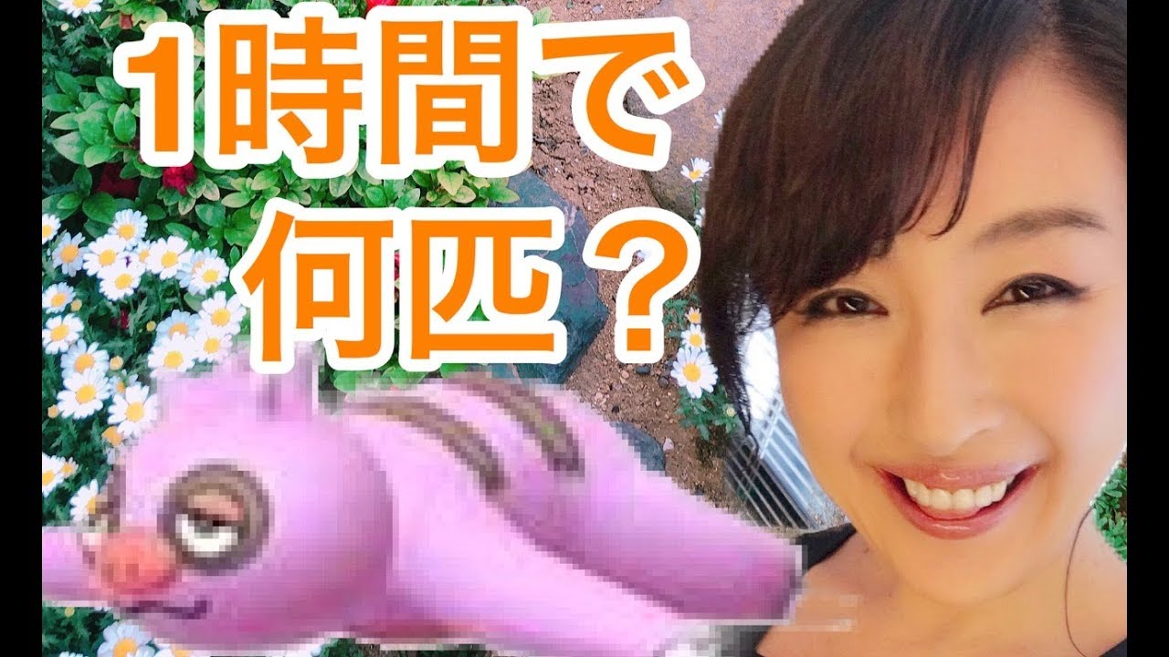 【 ポケモンGO 】ナマケロ デイ✨１匹目が色違い！？　１時間だけの参加でしたが色違いは。。。