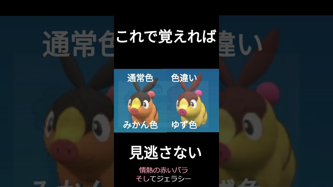 あの兄弟みたい #ポケモンsv #色違い #ポカブ