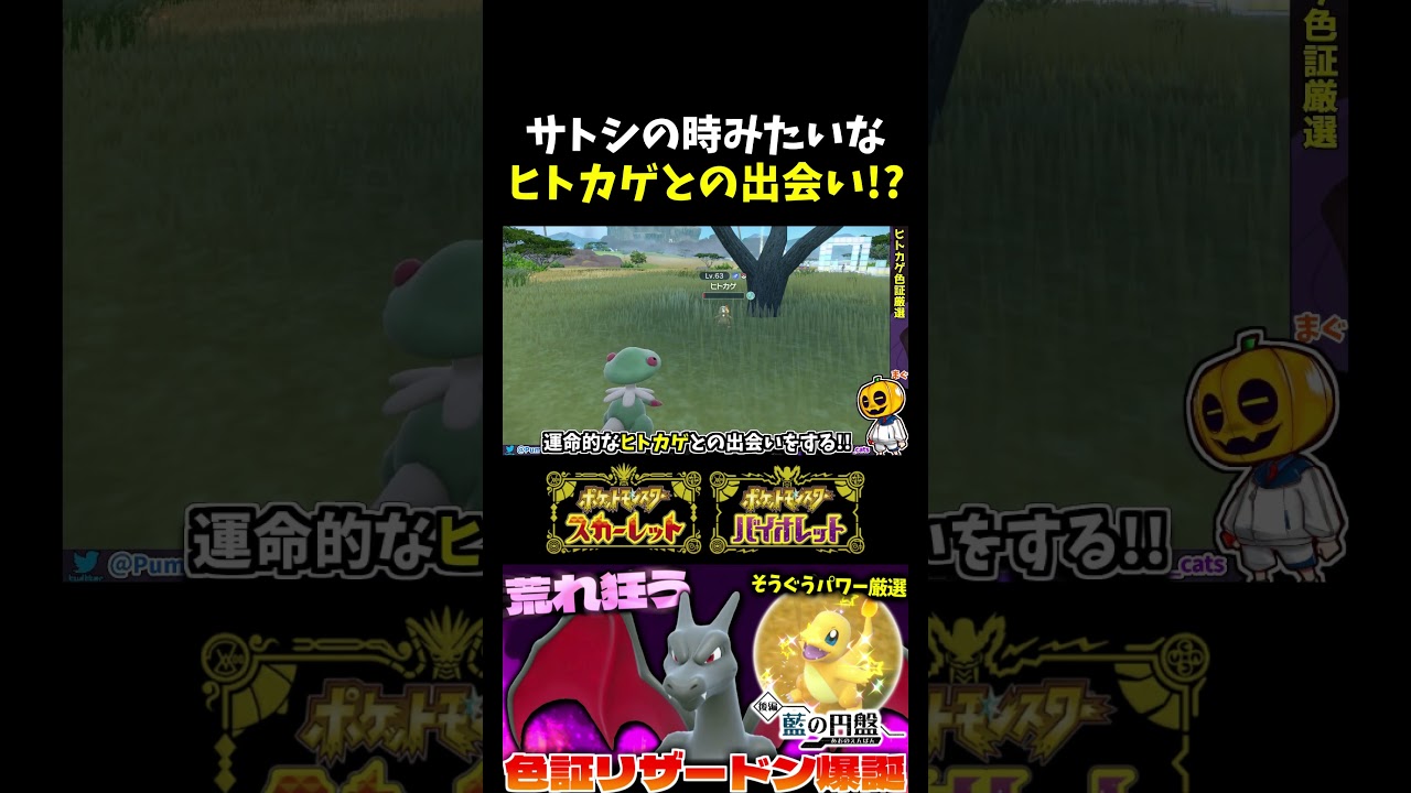 【ポケモンSV】サトシみたいな出会い!?｢ヒトカゲ｣の色証厳選をしてたら天候が雨になってアニメと同じ運命的な展開にw 【切り抜き】【色違いポケモン】【色違い厳選】#shorts