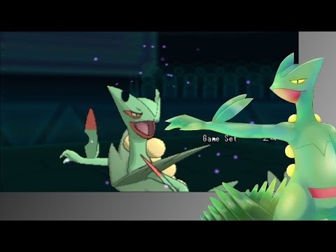 【ポケモンORAS】暇ランPhase4【疾風、メガジュカイン】