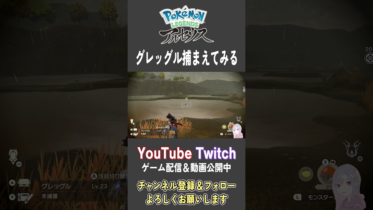 グレッグル捕まえてみる【Pokemon LEGENDS アルセウス】【#Shorts】【#64】