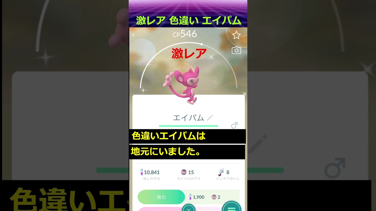 【ポケモンgo】色違い エイパム ゲット！ #shorts #pokemon #pokemongo