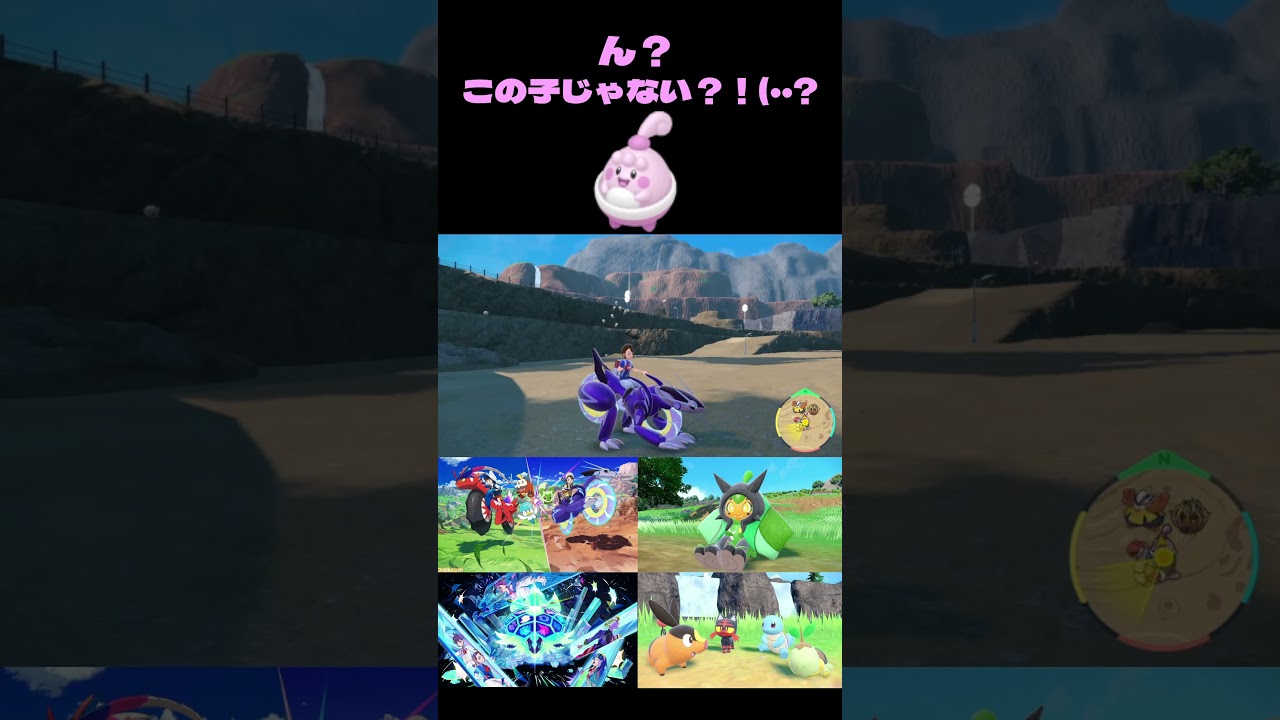 【ポケモンSV】なかなか目が疲れた色ピンプク♀　ガチでわかりづらかった…【＃ポケモンSV配信】＃Shorts