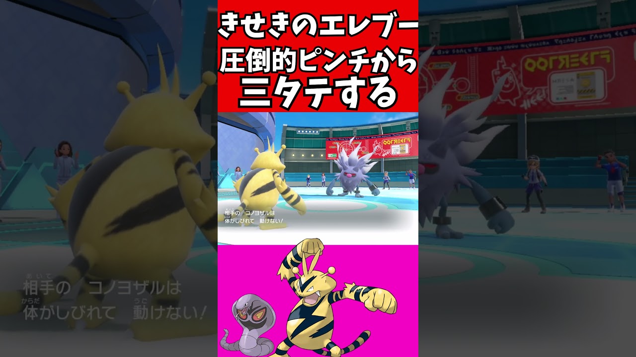 【マイナーポケモン解説】きせきのエレブーで奇跡起こしてみた