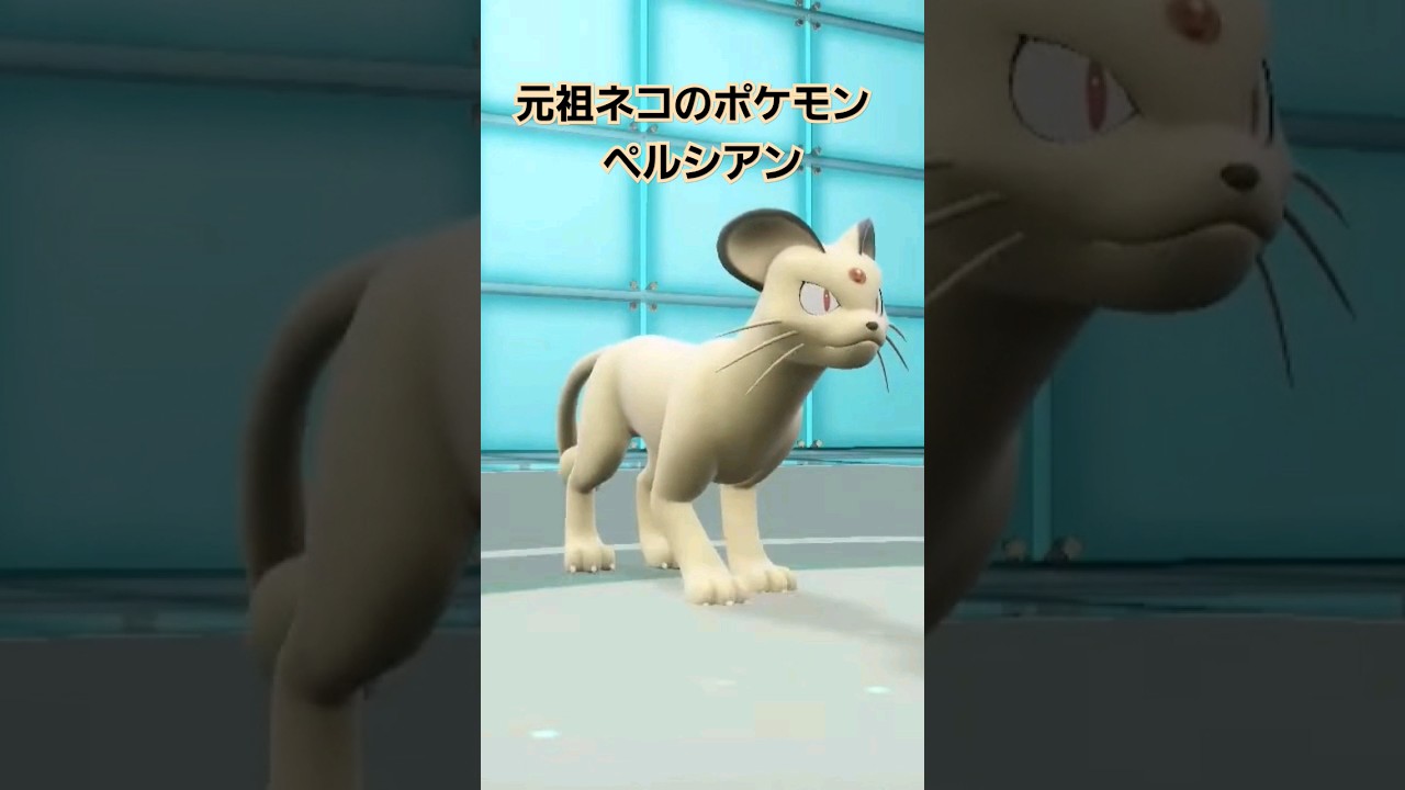 【ポケモンsv】ネコのポケモンから育てた元祖ペルシアン #ポケモンsv #ポケモンスカーレットバイオレット