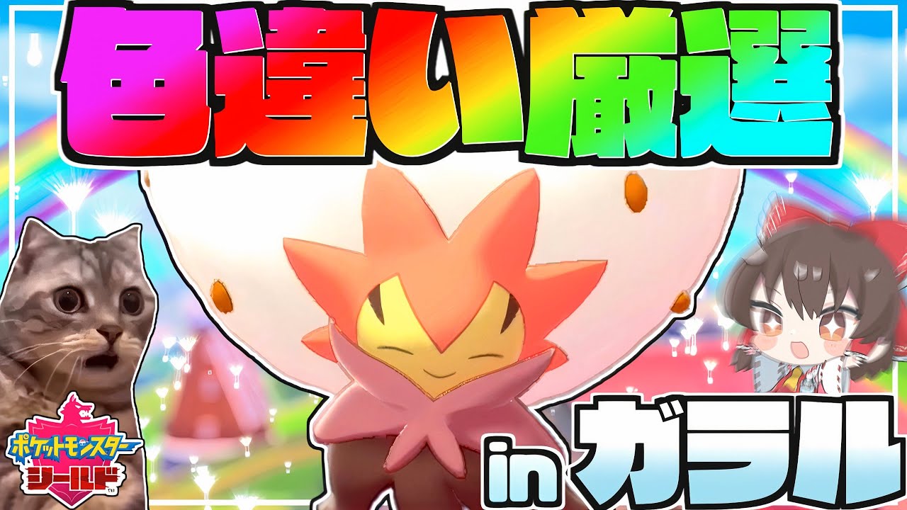 【野生厳選1/1365】春が来たので菱形色違いワタシラガを粘るの巻【ポケモン剣盾】【ゆっくり実況】