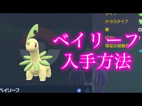 【ポケモンSV】【藍の円盤】ベイリーフ入手方法