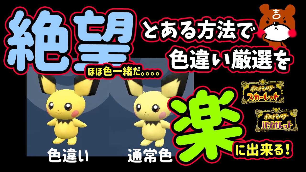 【ポケモンSV】見分けが難しい色違いピチューの厳選方法！進化前のポケモン大量発生イベント！可愛い証持ち色違いをゲットしよう！ポケモンスカーレットバイオレット