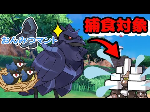 『おんみつマント』持ちアーマーガアならキョジオーンで止まらない！？キョジオーンの対策でお困りの方は試してみてください。【ポケモンSV　ポケモンスカーレットバイオレット】