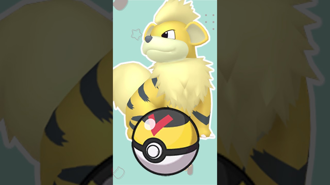 【オシャボ】色違いガーディみんなは何ボールに入れる？#shorts #ポケモンsv #ポケモンsv色違い   #pokémon