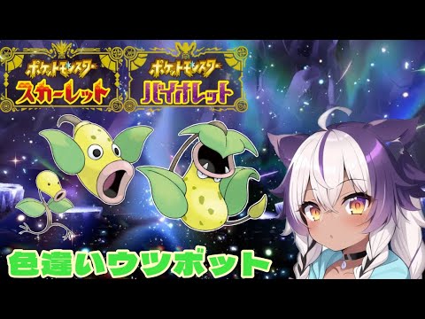 【ポケモンSV】色違いマダツボミ → ウツドン → ウツボット【ポケットモンスタースカーレットバイオレット】
