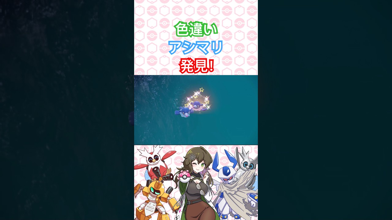 色違いアシマリ発見！【ポケモンSV】 #ポケモン #ポケモンsv #色違い #pokémon #short #shorts