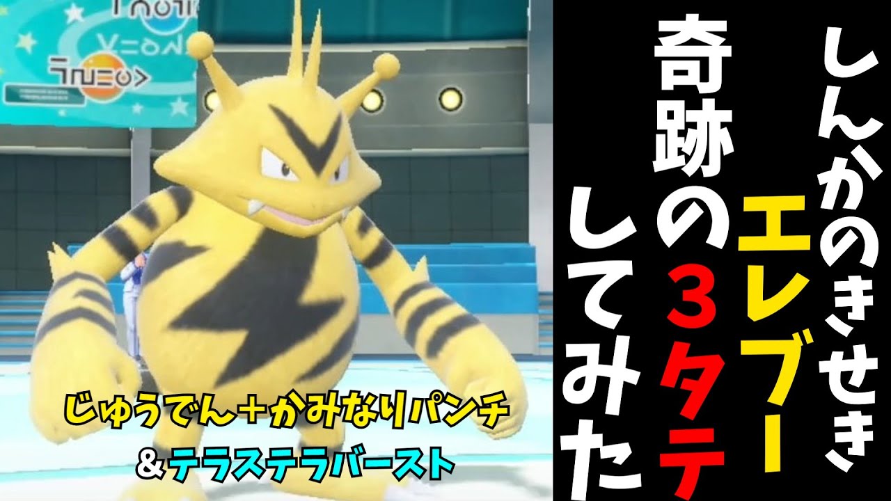 【マイナーポケモン解説】きせき持ちのエレブーで奇跡起こしてみた