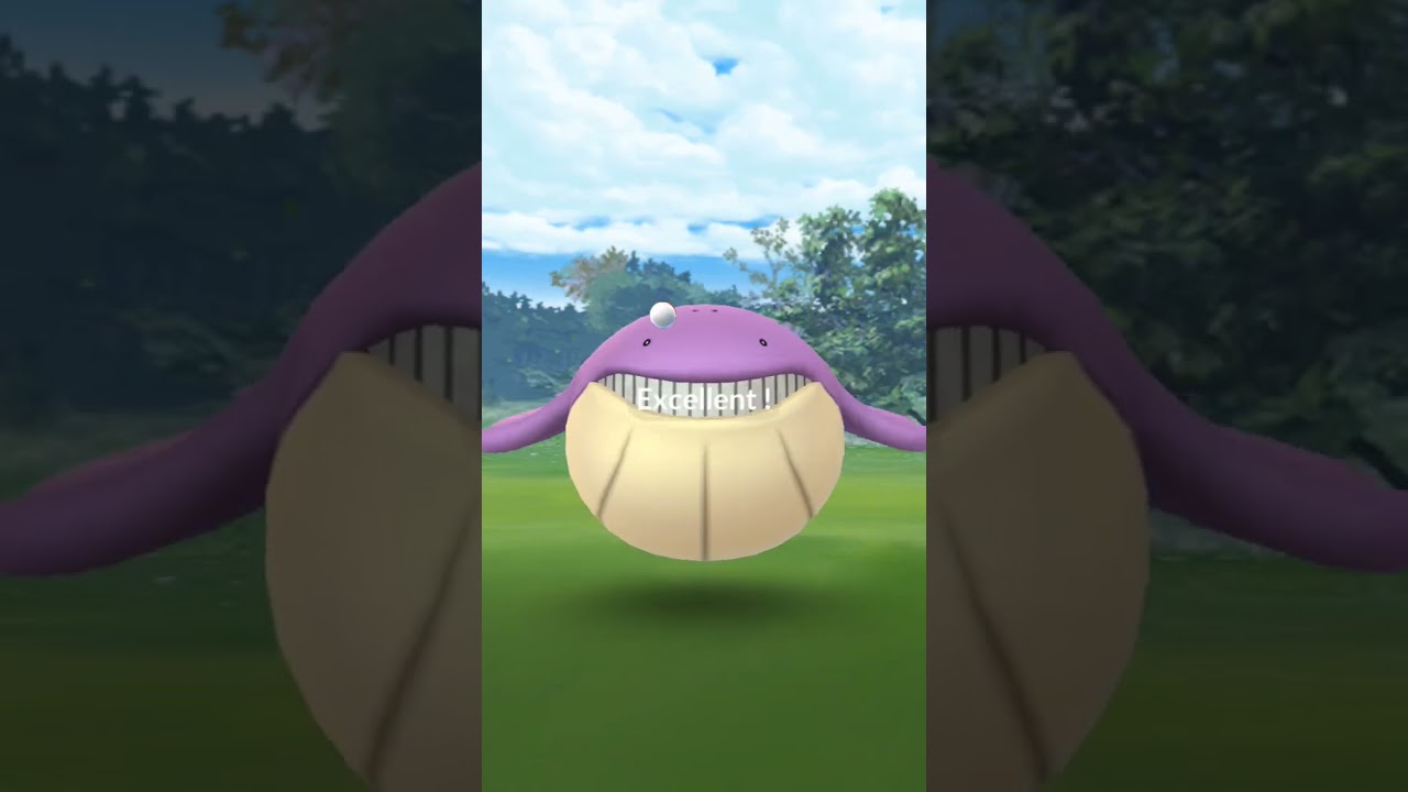 色違いホエルコきた〜〜！ #pokémon