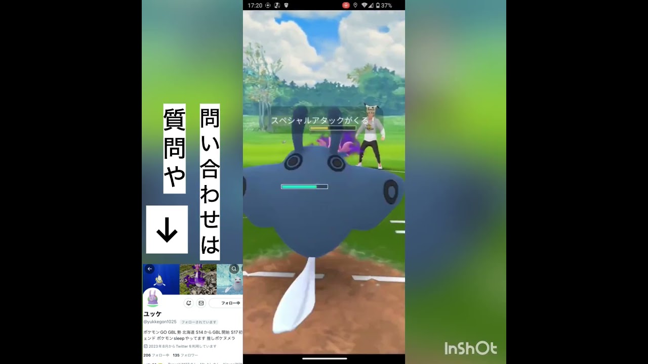 コノヨザル、マンタイン、ユキノオー💨コラボ企画第三弾‼️