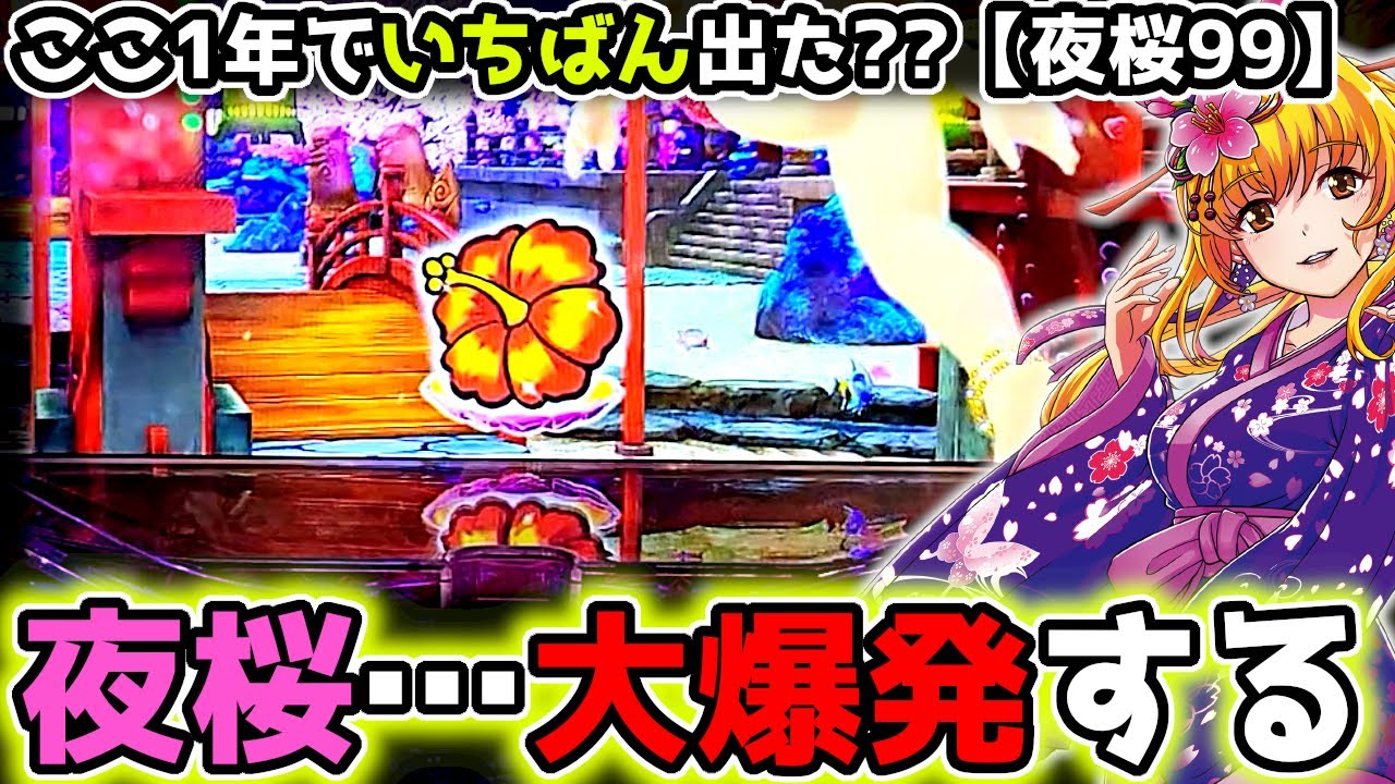 "夜桜、大爆発する"いったい何発でたのか…【PAスーパー海物語 IN 沖縄5 夜桜超旋風 99ver.】《ぱちりす日記》319 海物語 99 甘デジ