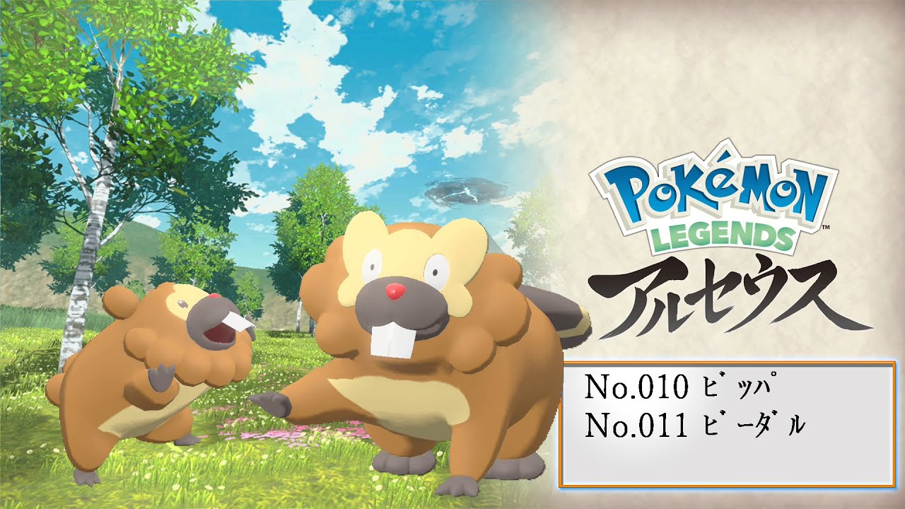 【ヒスイ図鑑】Ｎｏ．０１０ビッパ／Ｎｏ．０１１ビーダル【Pokémon LEGENDS アルセウス】