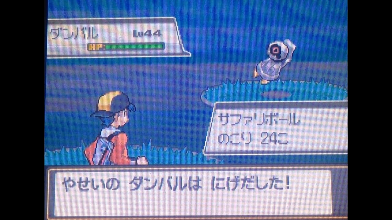 色違いサファリダンバル１