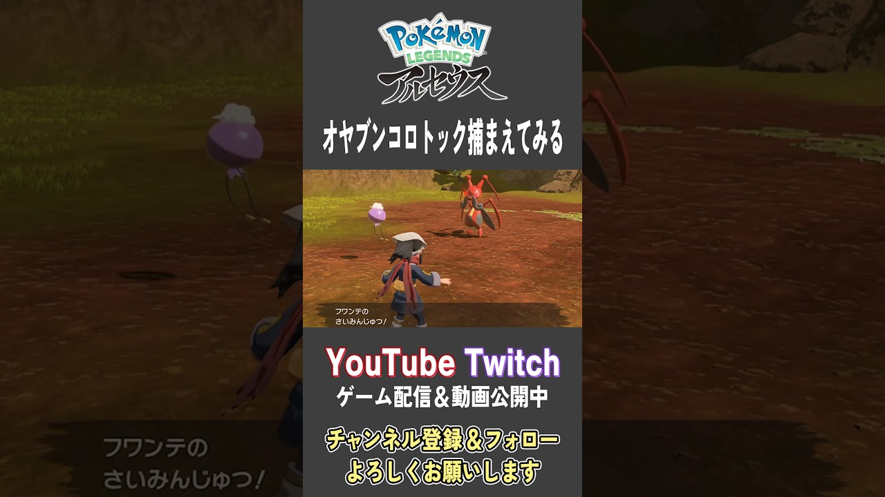 オヤブンコロトック捕まえてみる【Pokemon LEGENDS アルセウス】【#Shorts】【#25】