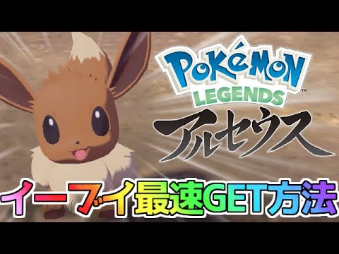 歴代最速でゲット可能！イーブイ入手方法まとめ！【ポケモンLEGENDSアルセウス】【ゆっくり実況】