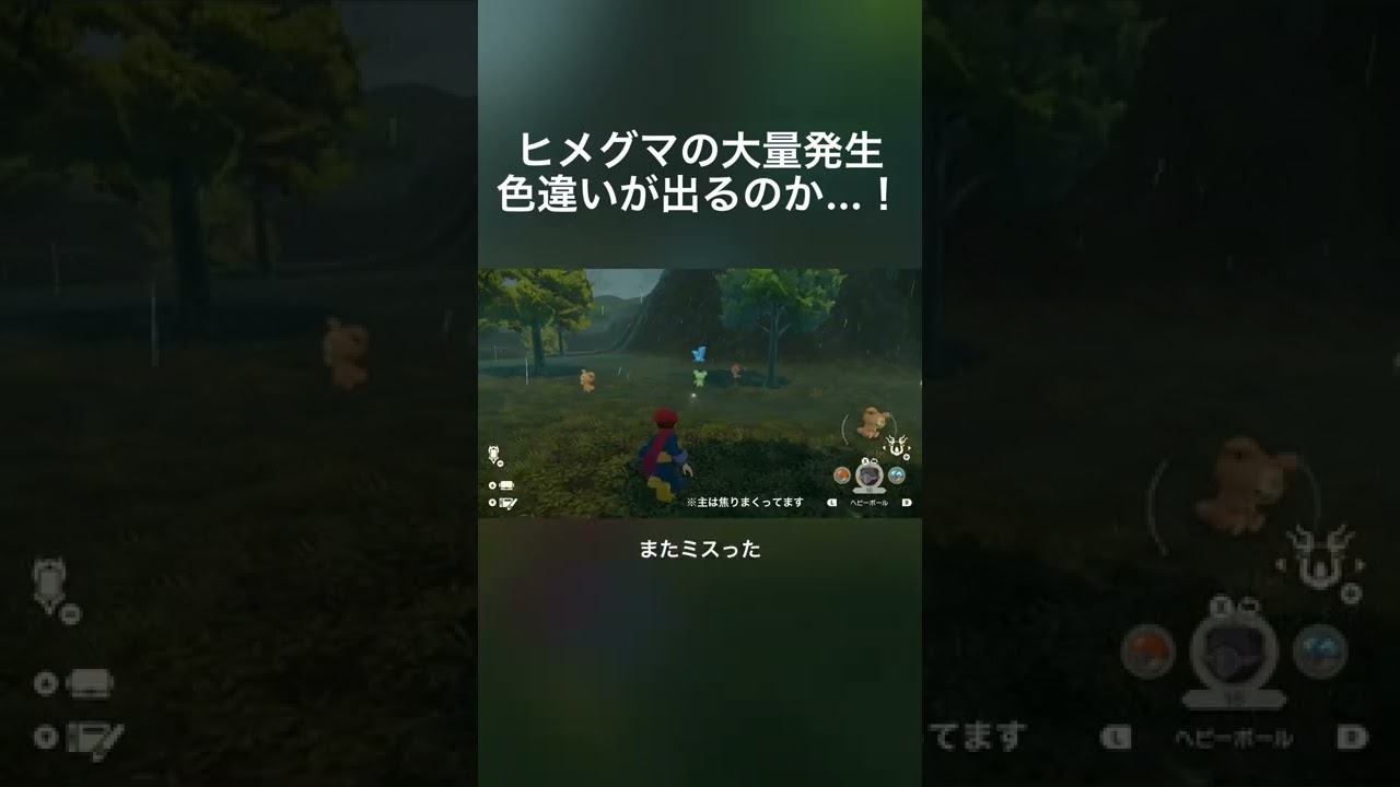 初の大量発生！！！ヒメグマの色違いは出るのか…！！！【レジェンズアルセウス】#shorts
