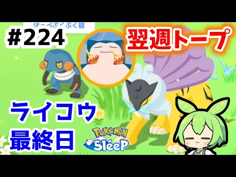 【睡眠リサーチ】＃224『ライコウ最終日とヒノアラシ厳選再開初日リサーチ』【ポケモンスリープ/pokemon sleep】【無課金ゆっくり実況ずんだもん】