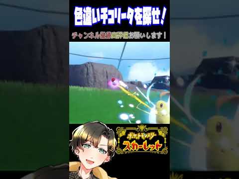 色違いチコリータを探せ！#shorts #ポケモン #スカーレット