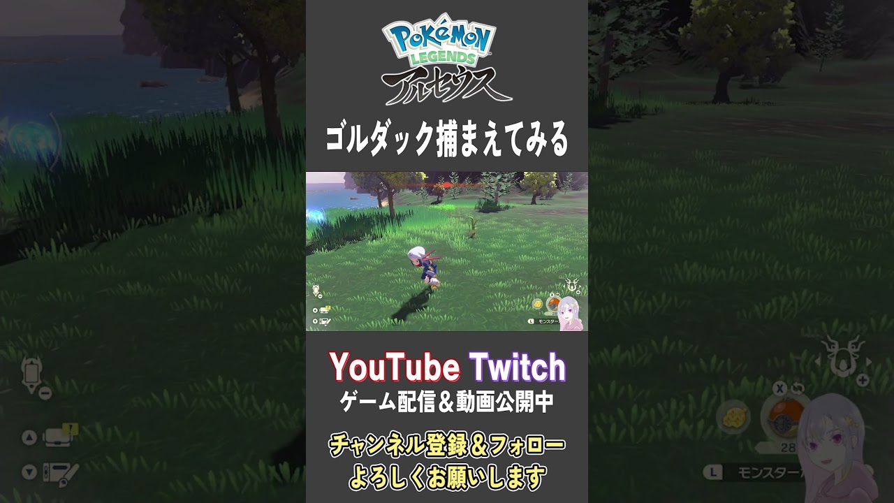 ゴルダック捕まえてみる【Pokemon LEGENDS アルセウス】【#Shorts】【#97】
