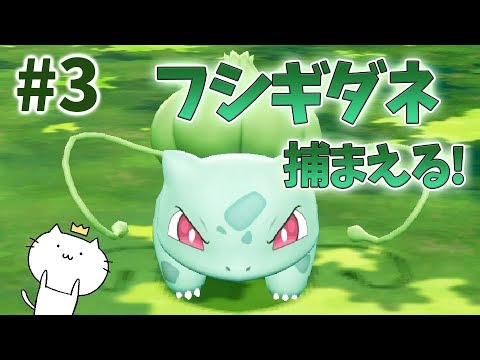 フシギダネを捕まえる！！ポケットモンスター Let's Go イーブイ #3