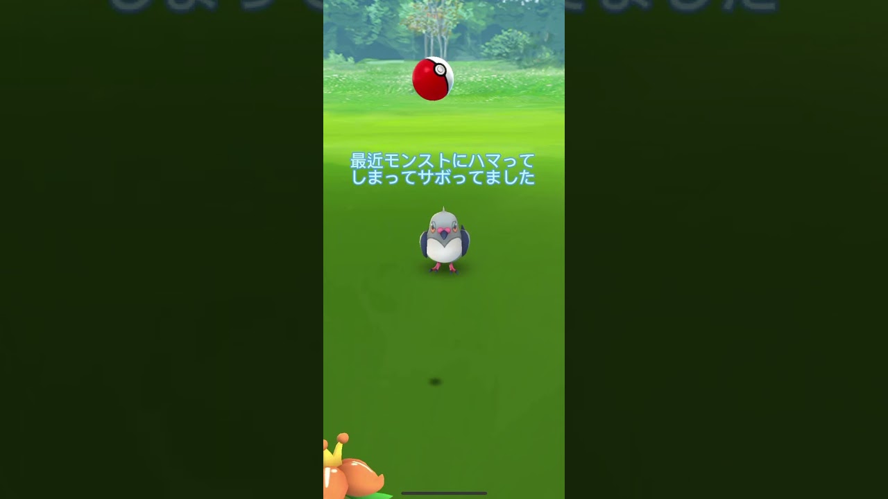 【ポケモンGO】久しぶりの投稿、久しぶりの色違い　#色違い　#ポケモン　#マメパト