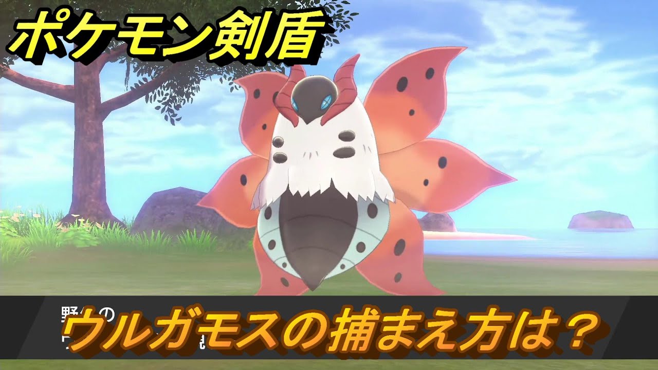 ポケモン剣盾　ウルガモスを捕まえる方法！オススメの場所は？天気は？ポケモン図鑑コンプへの道！　最新版【ポケモンソード・シールド】